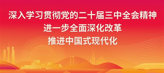 学习宣传贯彻党的二十届三中全会精神5